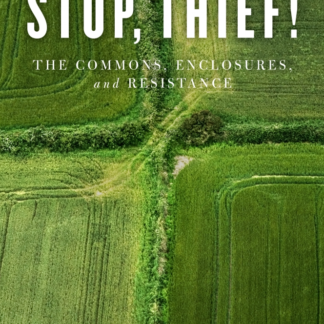 Stop, Thief!
