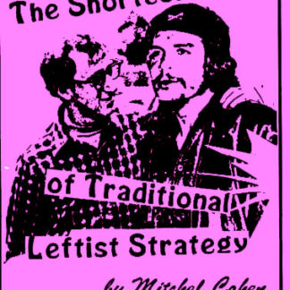 The Shortcomings of Traditional Leftist Strategy