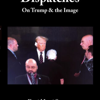 Dispatches: On Trump & the Image, by David Levi Strauss